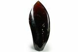 Tall, Free-Standing Polished Indonesian Blue Amber #311498-1